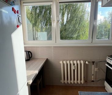 (Symbol 437696) MIESZKANIE na WYNAJEMSzczecin, os. Kaliny Ładne Mie... - Photo 6