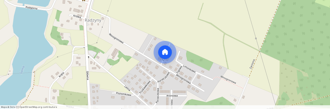 ul. Porzeczkowa, Radzyny, Kaźmierz, szamotulski, wielkopolskie