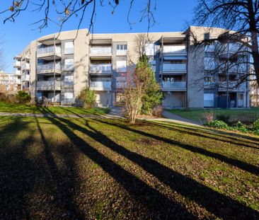 Quartier verdoyant à Fribourg - Photo 2