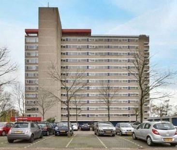 Wimbledonpark 0ong, 1185 LN Amstelveen, Nederland - Photo 1