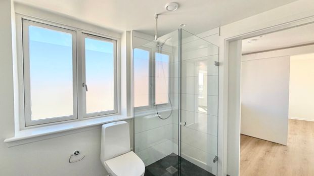 1 værelses – Skovvej 33, 4. lejl. 2 – 9400 Nørresundby - Photo 1