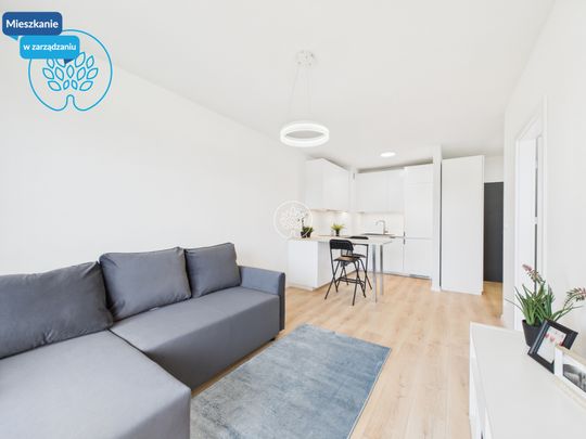 Dwupokojowe mieszkanie Fordon ul. Akademicka - Photo 1