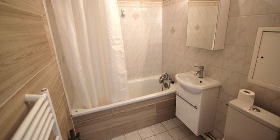 Location Appartement 1 pièce 21m² - Photo 3