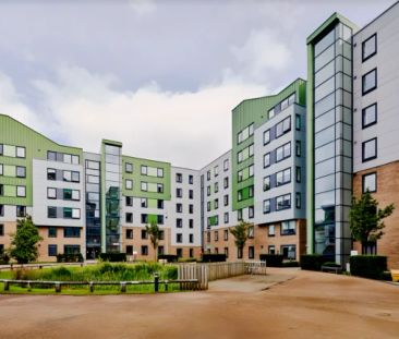 Premium Plus Townhouse Room - Photo 5