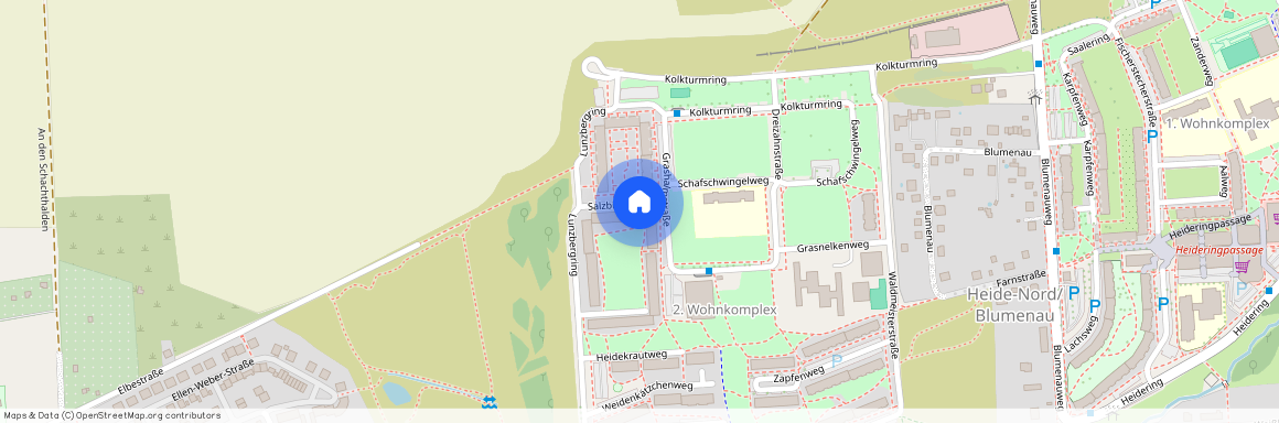 Salzbinsenweg 1, Halle