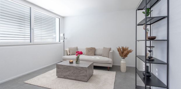 2 ½ Zimmer-Neubauwohnung in Visp mieten - Foto 1
