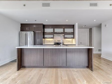 Appartement à louer, Montréal (Ville-Marie) - Photo 5