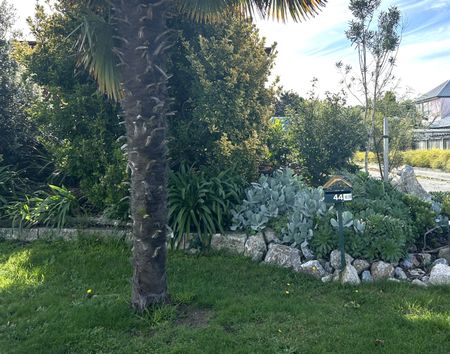 44 Martin Street, Monaco, Nelson - Photo 2