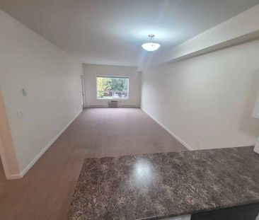 1 Bedroom Large, Bright, Clean Condo - Photo 1