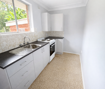 Freshly Painted & Brand New Kitchen - Photo 2