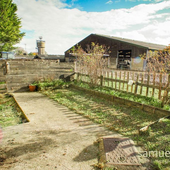 3 bedroom semi-detached house to rent - Photo 1