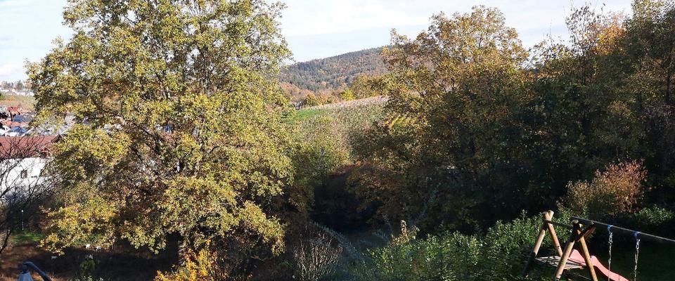 1 Zimmer Wohnung - Foto 1