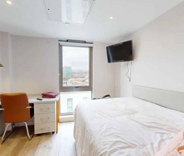 Premium Cluster Studio - Photo 5