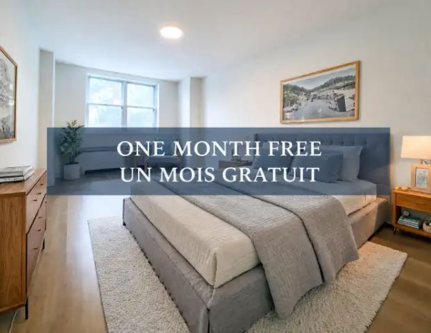 3445 Rue Stanley | 3445 Stanley, Montreal - Photo 1
