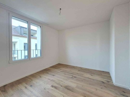 2.5 Zimmer, 50 m², 2. Stock - Photo 1