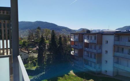 TYPE 2 SAINT-DIE-DES-VOSGES - Photo 3