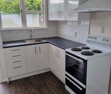 Completely renovated top to toe 2 bedroom unit - Photo 4
