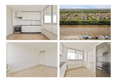 Hermelijnvlinder 95, Vlindertuin, 1113LC, Diemen - Photo 4