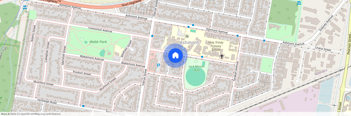 22 Bardia Street, NSW 2650, Ashmont