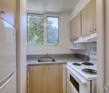 1975 de Maisonneuve - Photo 4