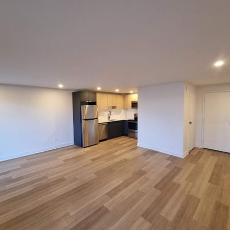Studio - Côte Saint-Luc - $1,399 /mo - Photo 3