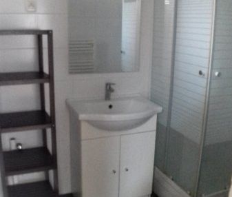 Appartement 1 Pièce 22 m² - Photo 4