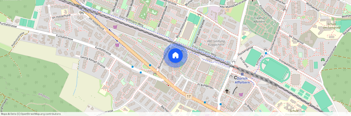 8046, Zürich, Wehntalerstrasse, 596B