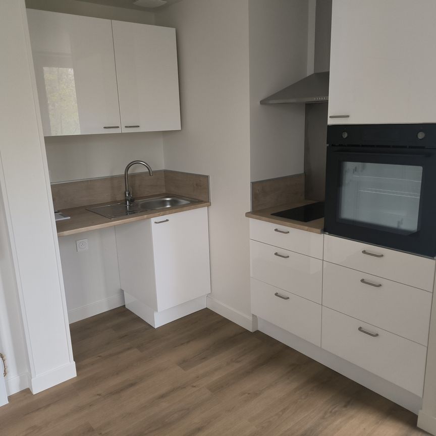 Location Appartement 2 pièces 30m² APPOIGNY 89380 - Photo 1