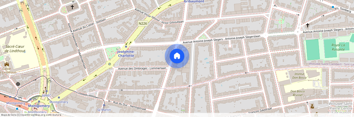 Avenue Louis Gribaumont 115, 1200, Woluwe-Saint-Lambert