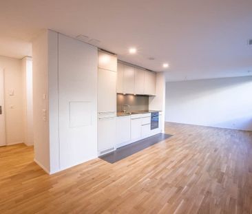 1.5 Zimmer, 52 m², EG - Foto 2