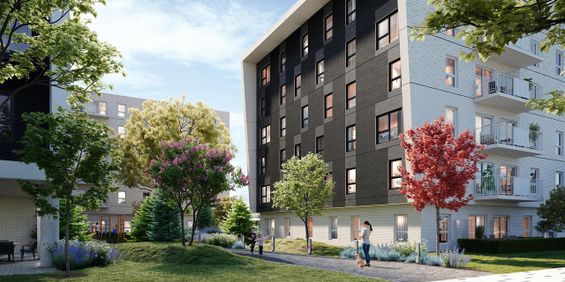 Studio - 5630 Rue De Marseille, Montréal - Est - Photo 3