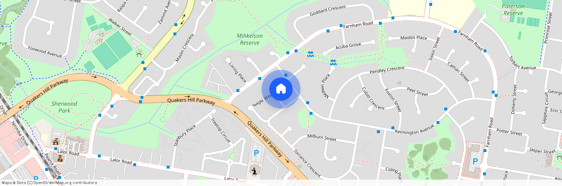 6 Crispin Place, Quakers Hill NSW 2763