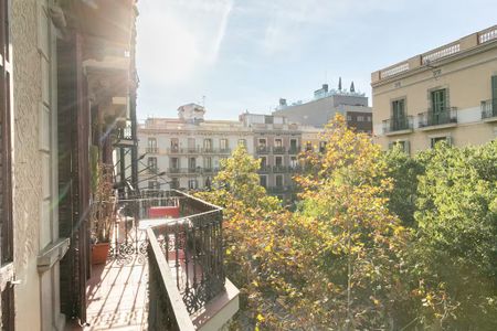 Carrer del Bruc, Barcelona, Catalonia 08010 - Photo 4