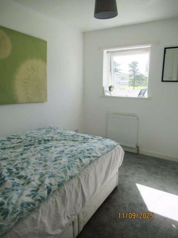 3 bedroom property to rent - Photo 3