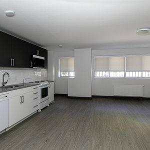 1 Bedroom Type 2 - 3605 Rue Saint-Urbain, Montréal - Photo 3