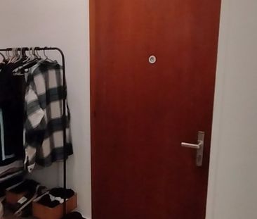 1.5 Zimmer, 25 m² - Photo 3