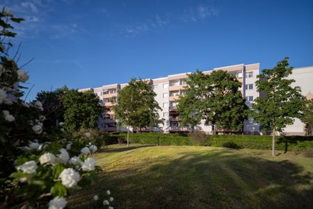 Familienfreundliche 4-Zimmerwohnung in Halle-Neustadt - Photo 5