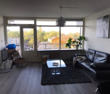 Spinaker 219 - Photo 3