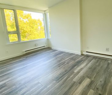 Beautiful 2 Bed Condo For Rent In South Granville. - Photo 4