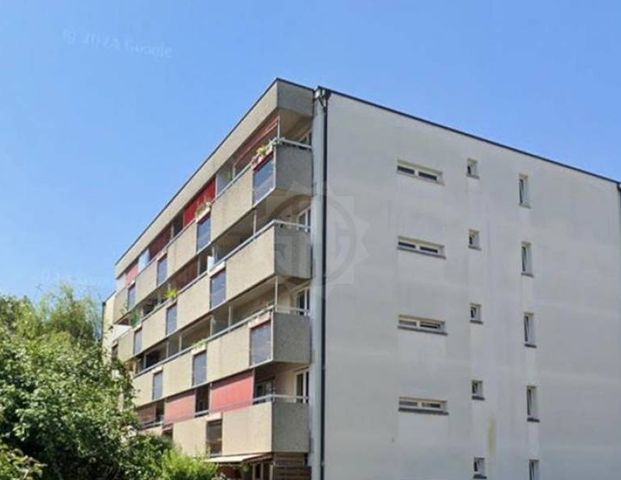 3.5 Zimmer, 73 m² - Foto 1