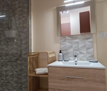 Location Appartement 1 pièce 25m² NARBONNE 11100 - Photo 6