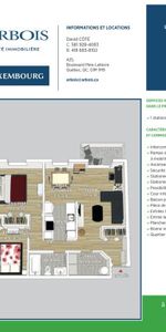 Beau 4 ½ (Décembre et/ou Janvier) - Photo 4