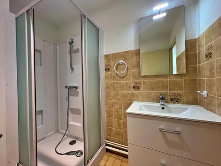 Location Appartement 1 pièce 23m² MALZEVILLE 54220 - Photo 3