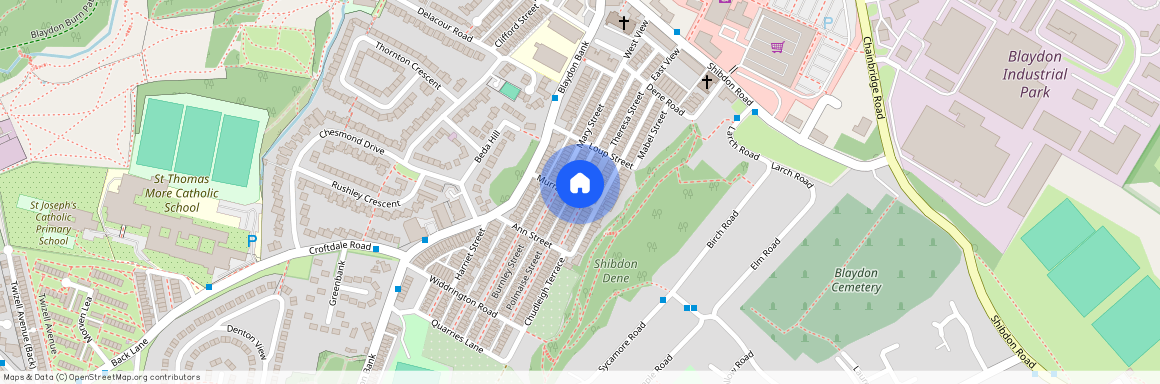 Theresa Street, Blaydon-on-Tyne NE21