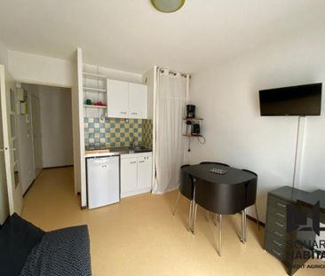 Location Appartement 1 pièce Meublé 18m² TOURS 37200 - Photo 2