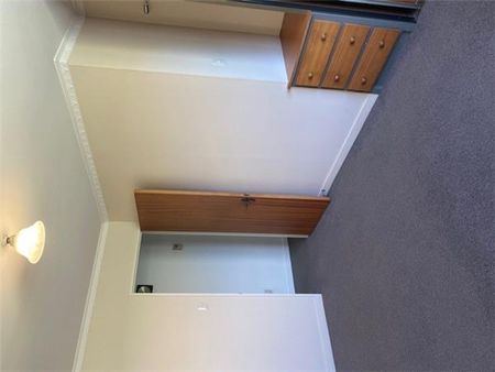 28 Tennyson Street, Beckenham, Christchurch City - The Size will Surprise - Photo 5