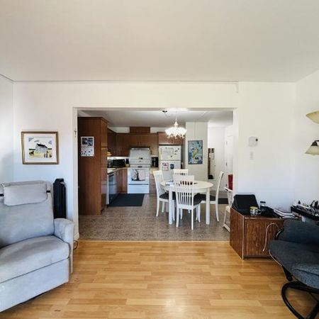 Appartement 4 ½ à louer Lévis octobre 2026 - Photo 3