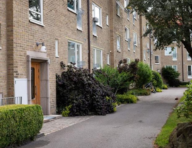 Doktor Westrings gata 21D - Foto 1