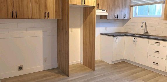 grand 3,5 +1 piece 8x9,RÉNOVÉ 3PLEX VIEUX-LONGUEUIL - Photo 2