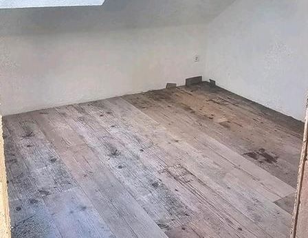 DG 2,5 Zimmer Wohnung zu vermieten - Photo 1